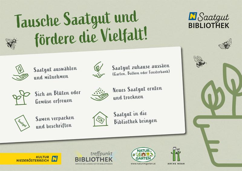 Saatgut